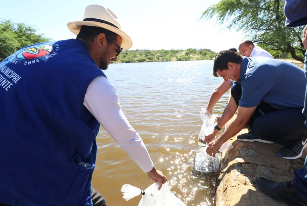 PREFEITURA RETOMA PEIXAMENTO E DISTRIBUIRÁ 800 MIL ALEVINOS NO INTERIOR DE PETROLINA